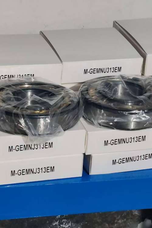 M-GEM NU313EM Cylindrical Roller Bearing